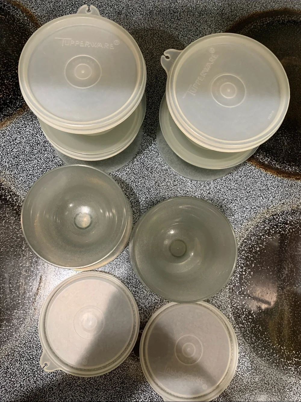 Tupperware Translucent White Food Storage Bowls with Lids - Set of 6